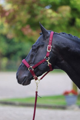 Afbeeldingen van Halster Classy merlot